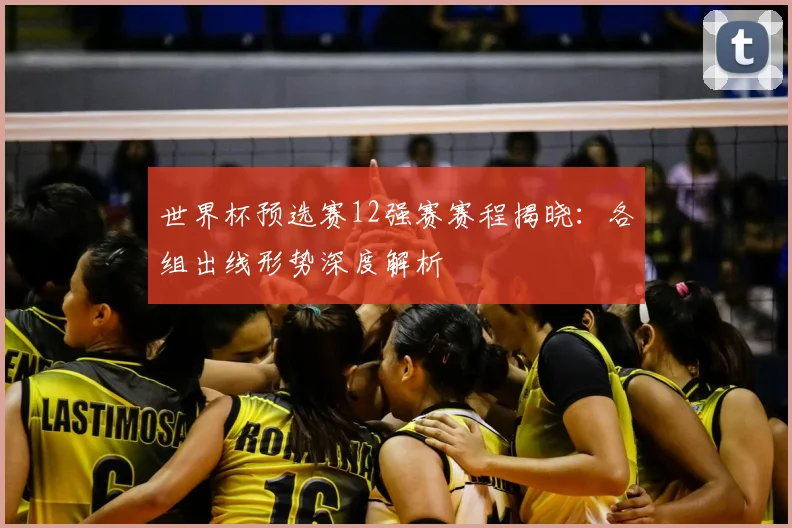世界杯预选赛12强赛赛程揭晓：各组出线形势深度解析