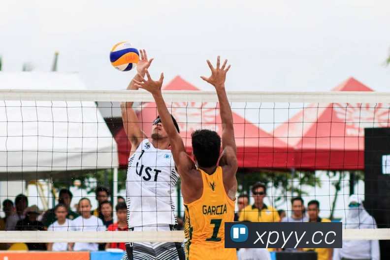 App Interface Preview