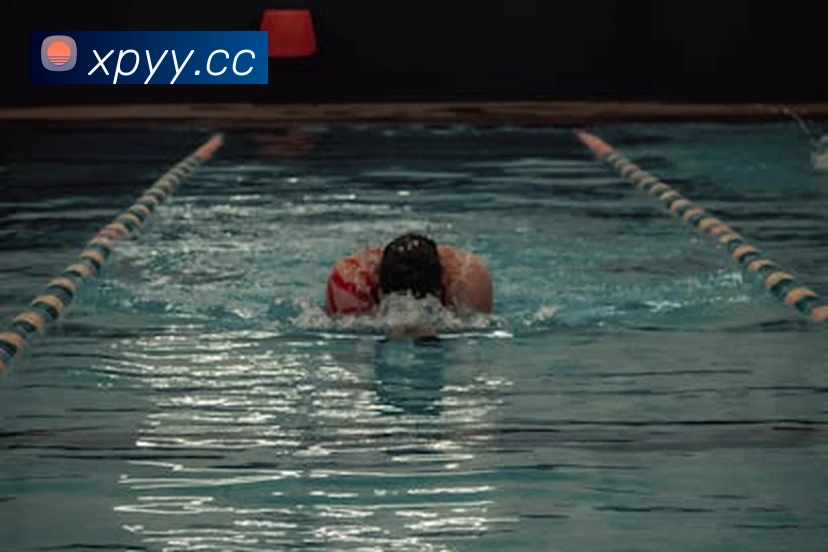 安博站官网登录入口APP 封面图